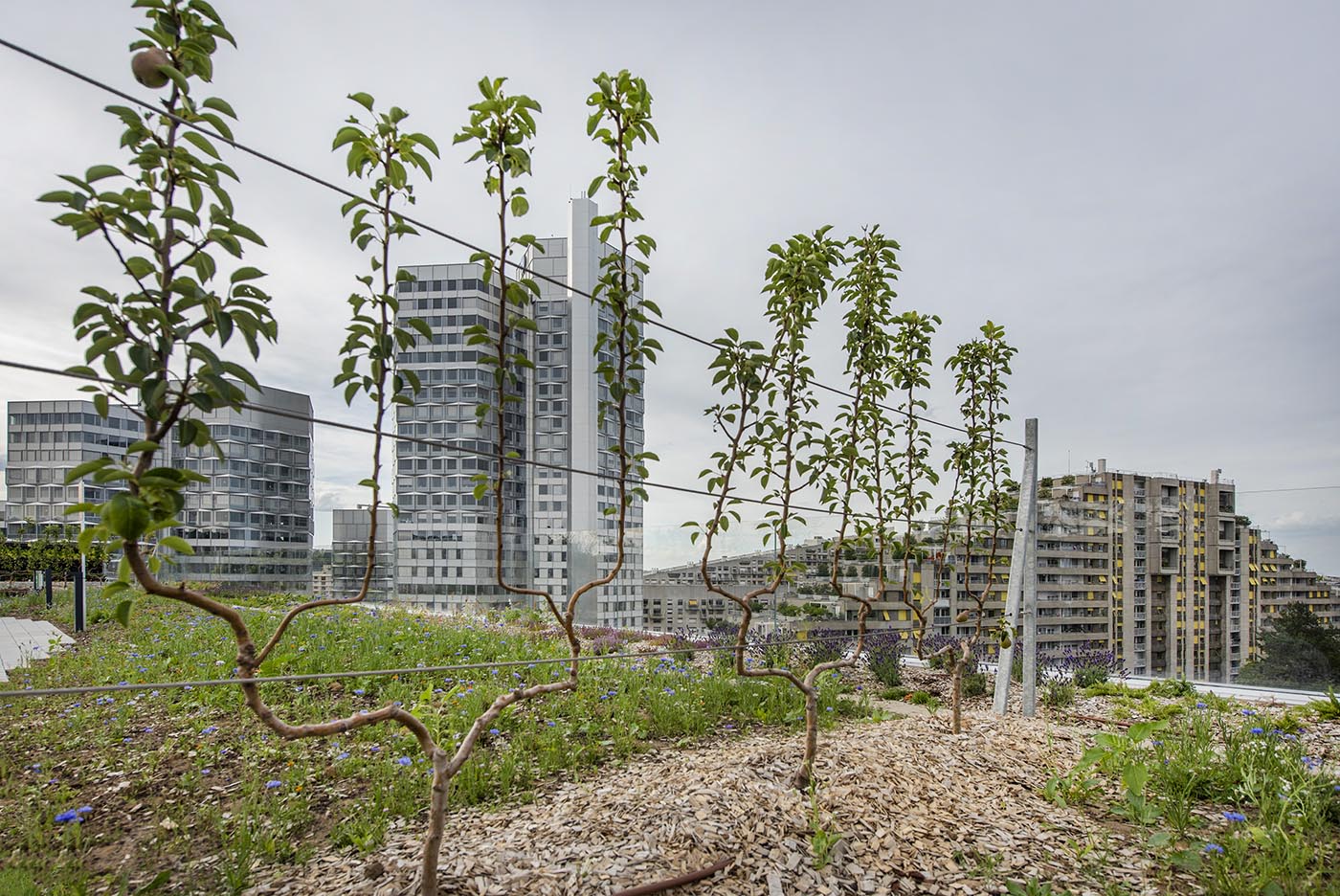 20_mai_visite_m57_credit_vdsa